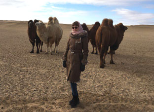 Практика в Монголии