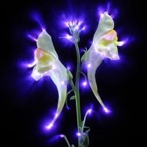 IMG_20260416_210103_016