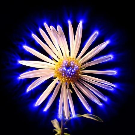 IMG_20260416_210103_042