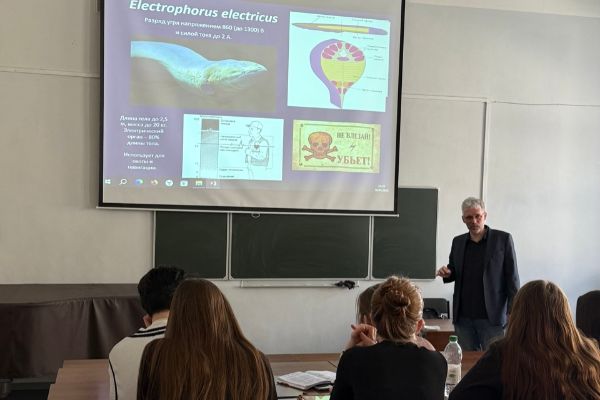 Живые организмы и электричество