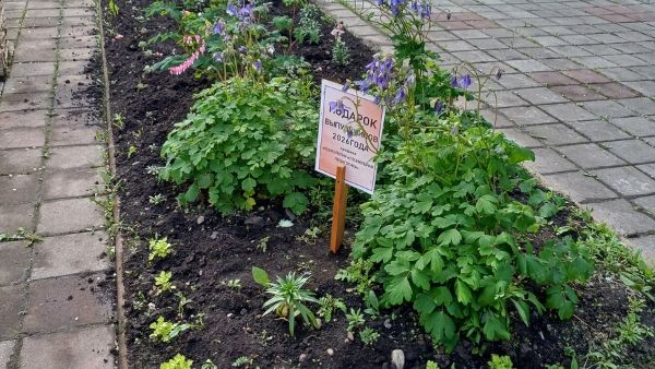 Добрая традиция выпускников Педагогического института