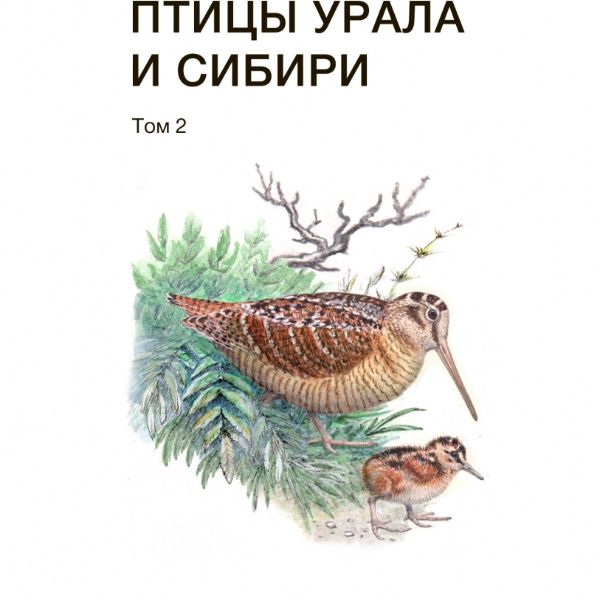 tom 2