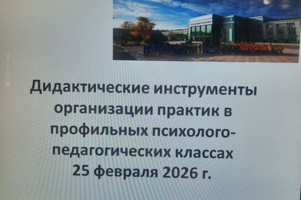 Дидактические инструменты организации практик в профильных психолого-педагогических классах